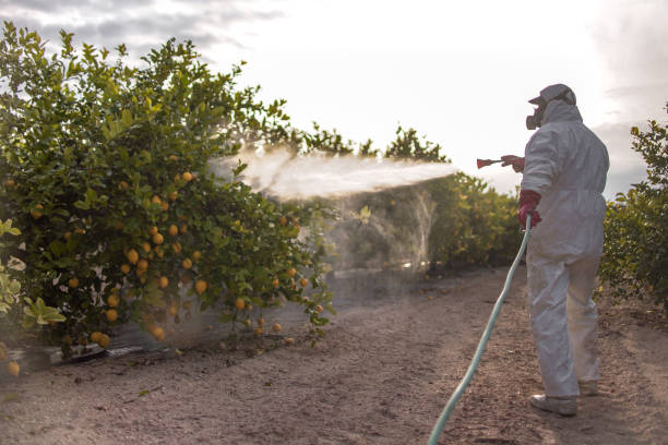 Best Insect Control  in Danville, PA