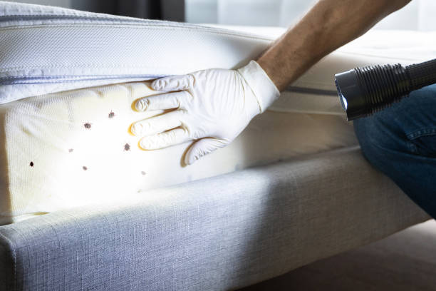Best Flea Control Services  in Danville, PA