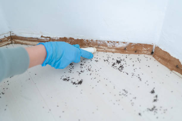 Reliable Danville, PA Pest Control Solutions